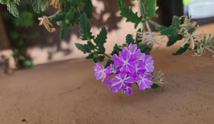 [Image: 20220903-114712.jpg]