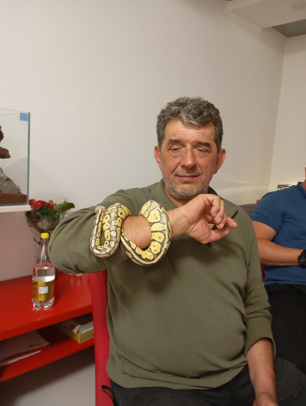 IMG-77b334f94a612cbbb43969035ef32cc0-V