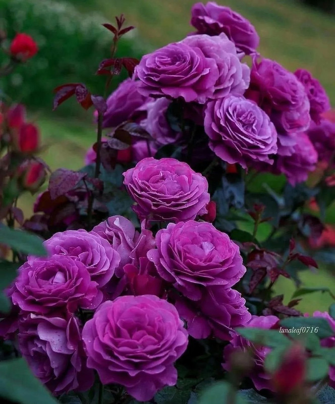 aeNXCADzmasbujWptgCBaur9o246dhPLdsqpcWkxBvTf6va9ez5hEIMB3UkwtqZdNyakw7HAr64PszvdtTtoJ6x0