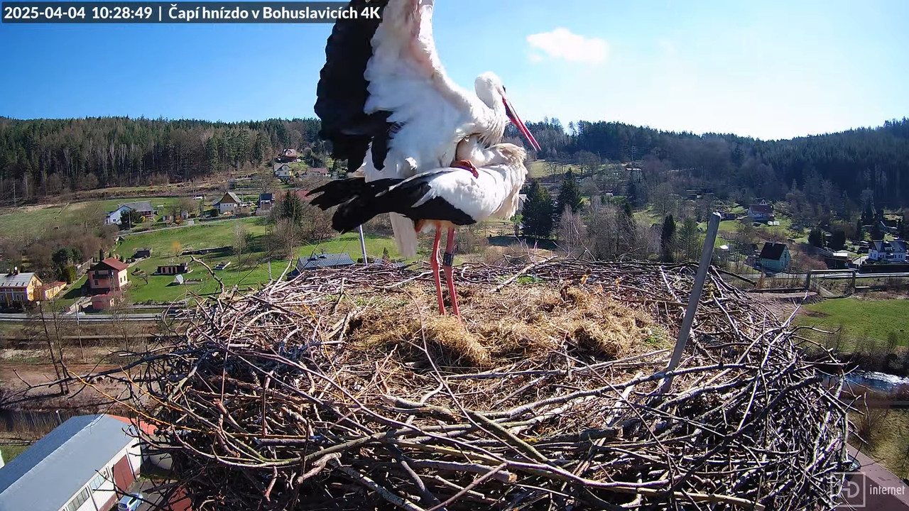 Živě z čapího komína firmy KARA v Bohuslavicích u Trutnova 13-34-48 screenshot (1)