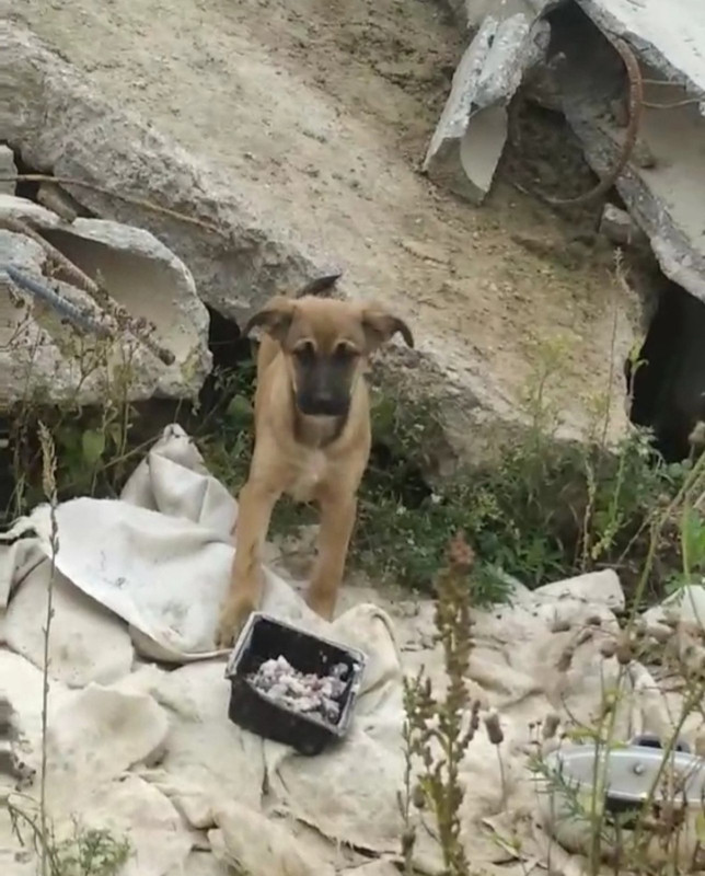 44D62B75-D358-40C6-97DA-F39E0997B88C