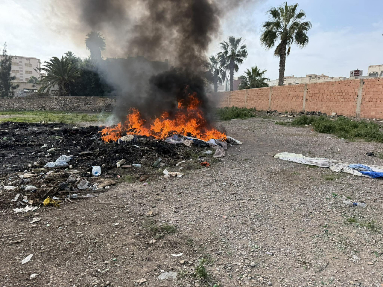 638522816-25900389582916668-1188556012451863475-n