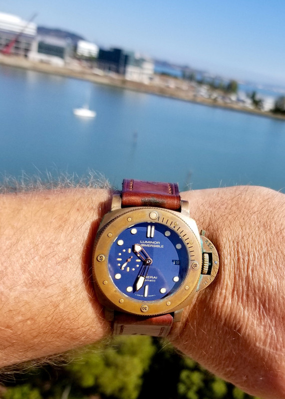 1FA1F835-E0A4-4ED6-B564-279425B96C10