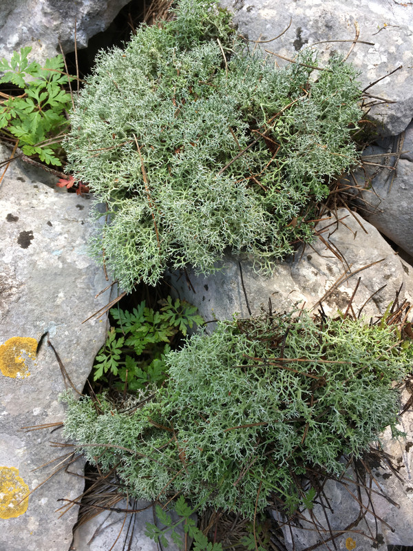 A99D5D7E-FD2C-4D92-A379-682744EA349F