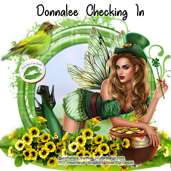 WWO --- Vanhek -- ST PATTY Donnalee-CI-feb-game-winner-tag