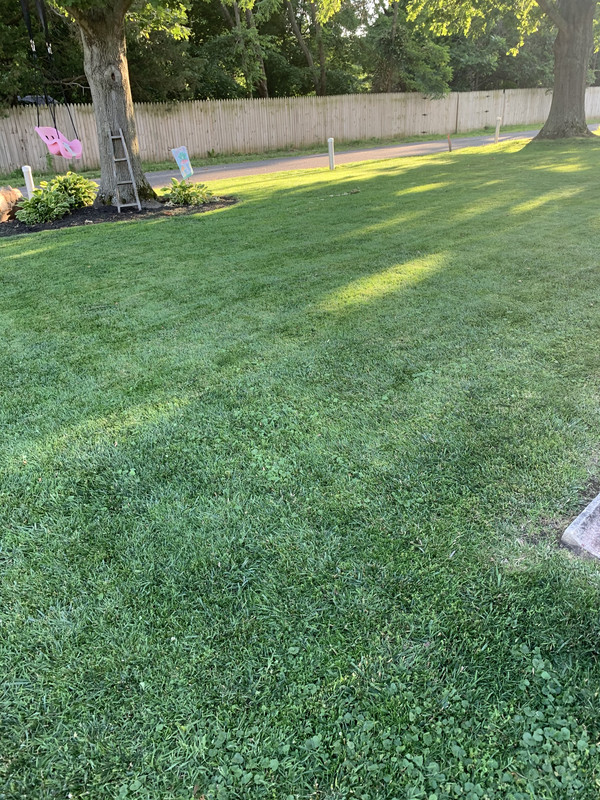 AAA9C230-B242-44F9-8989-E18C6289B2D4