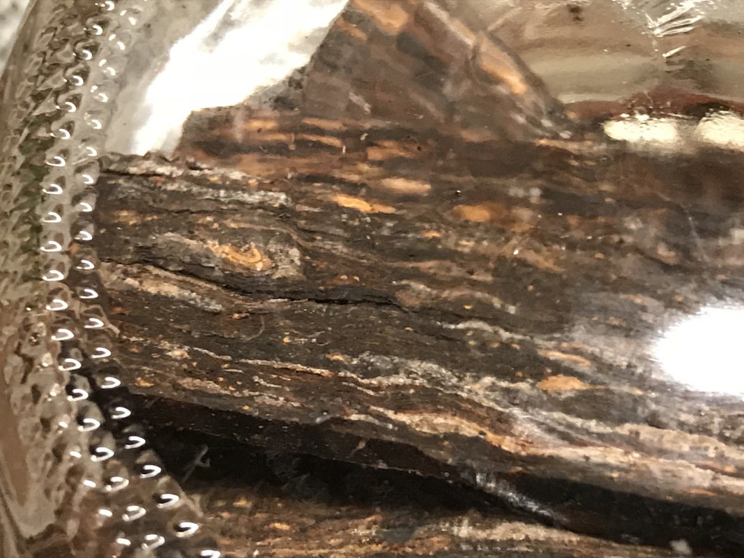 66C06F8F-BACE-46F1-9492-E8BCA8272058