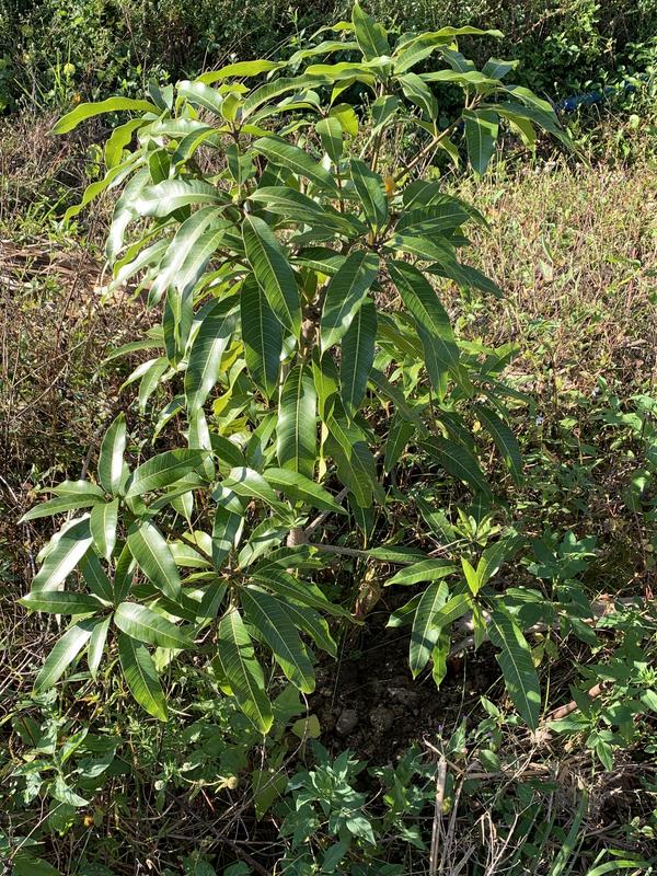 6A799740-31E6-44EC-BD73-1928FCE594D0