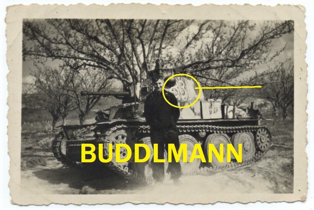Foto Panzer Wehrmacht Südfront Camo Panzerkampfwagen 38 t Turmnummer 831