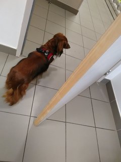 [Image: IMG-20210506-190727.jpg]