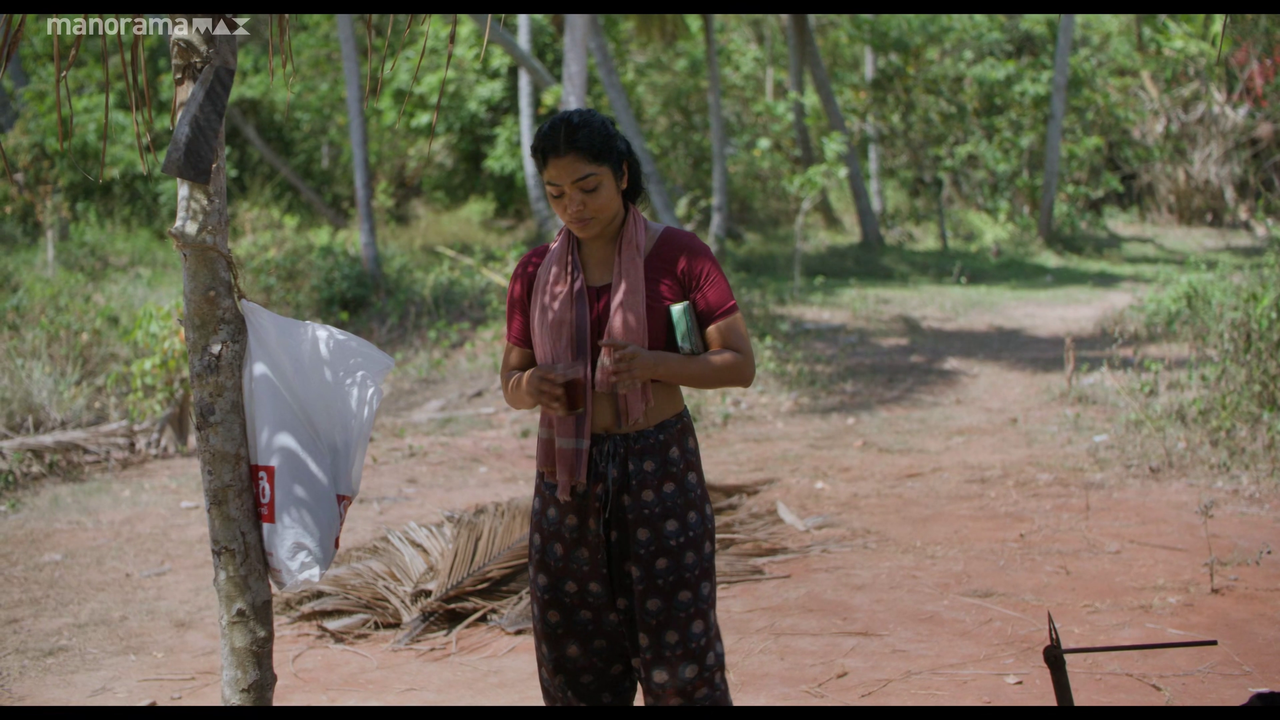 vlcsnap 2026 02 25 12h50m05s733