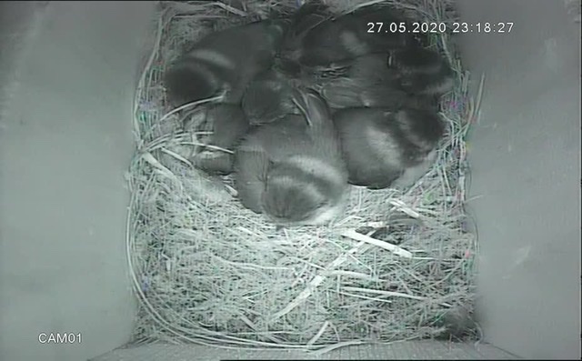 EB3FDF61-1335-421C-A64C-D428B957957B