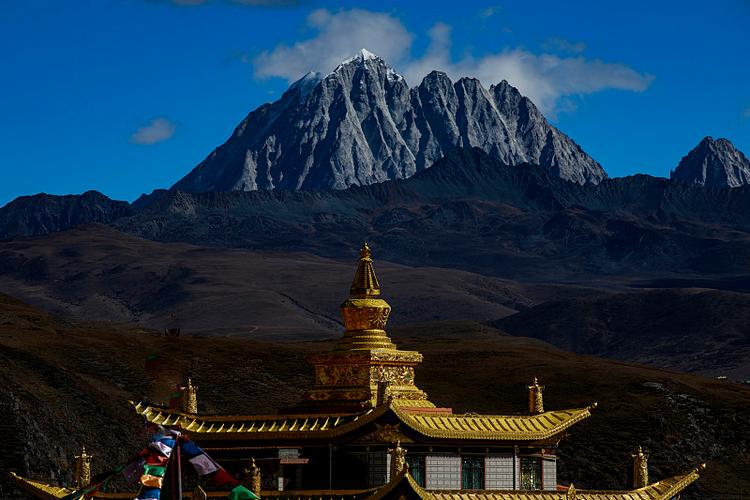 2e13960462c406ec3dafea16bd997485