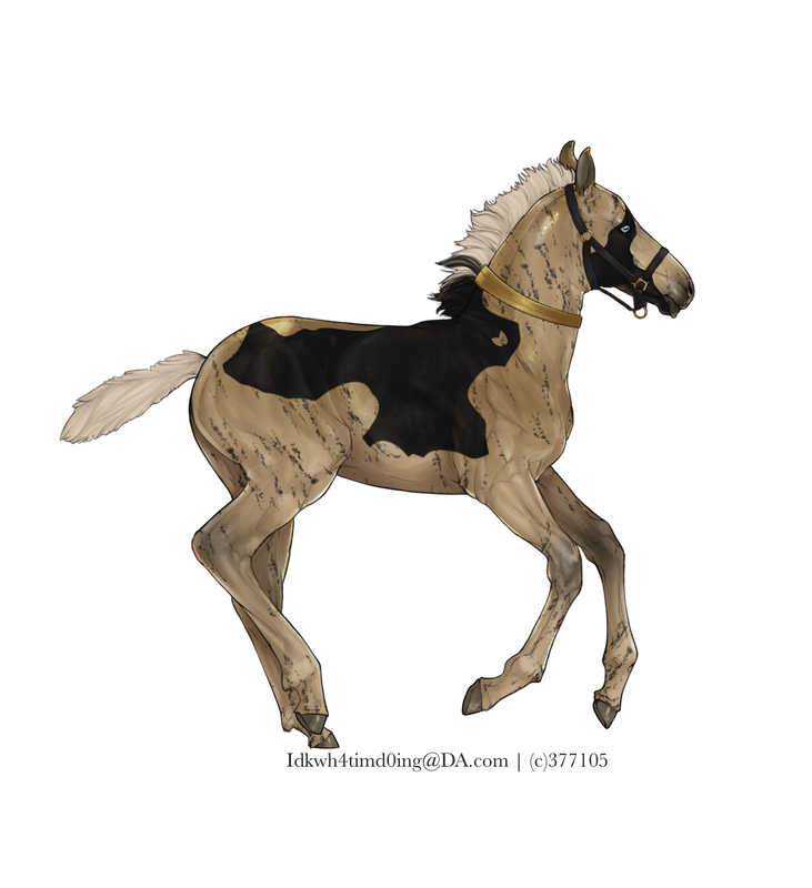 03608-E9-B-791-B-434-A-9-A2-F-4-DBF9-E185-C06.png