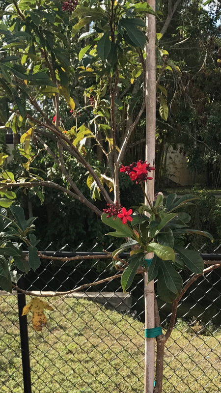 672D28ED-50EF-472E-8C6C-6F528B4F007D