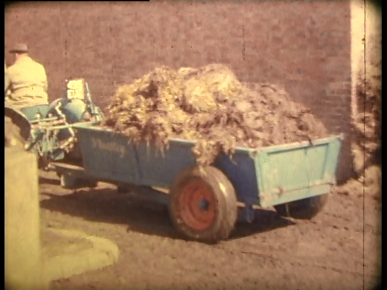 vlcsnap-2020-04-24-08h31m40s723