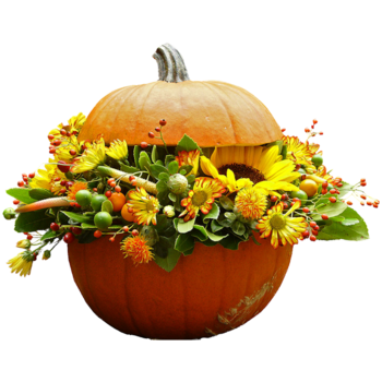 ISmellAutumn-LL-Element62