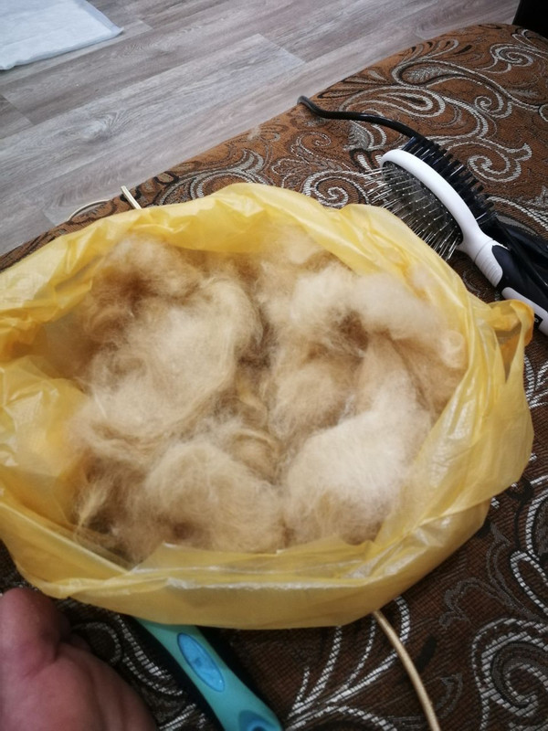 4A21D695-1E15-4610-BBF0-0F8CA9BB84BD