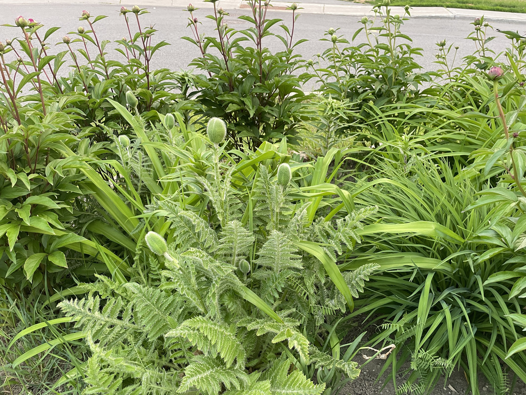 EE396E39-F876-48A0-908B-C54D1C2F8B75