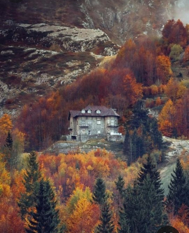 Screenshot_20240131_210409_Pinterest