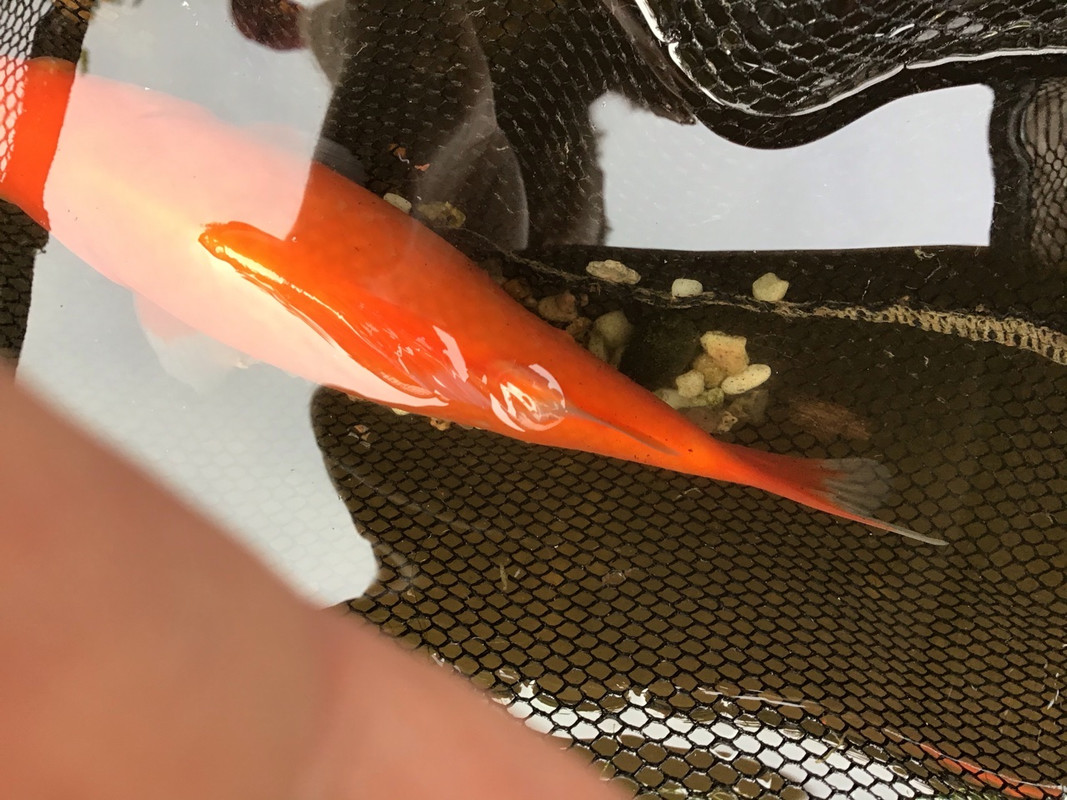 02B3CF85-5A60-47B4-A0B3-29BF054B9499