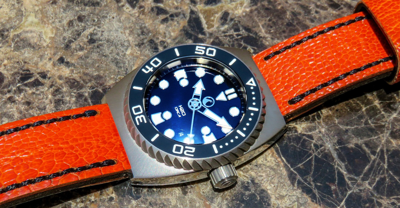 IMG_8263_1 [1600x1200]