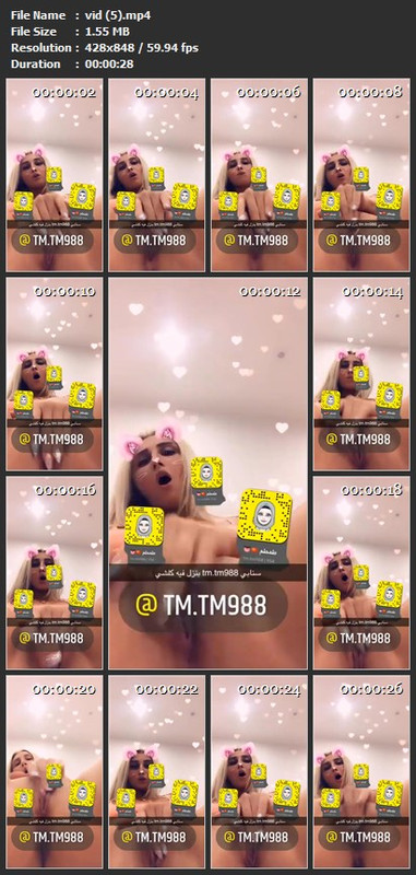 vid (5).mp4