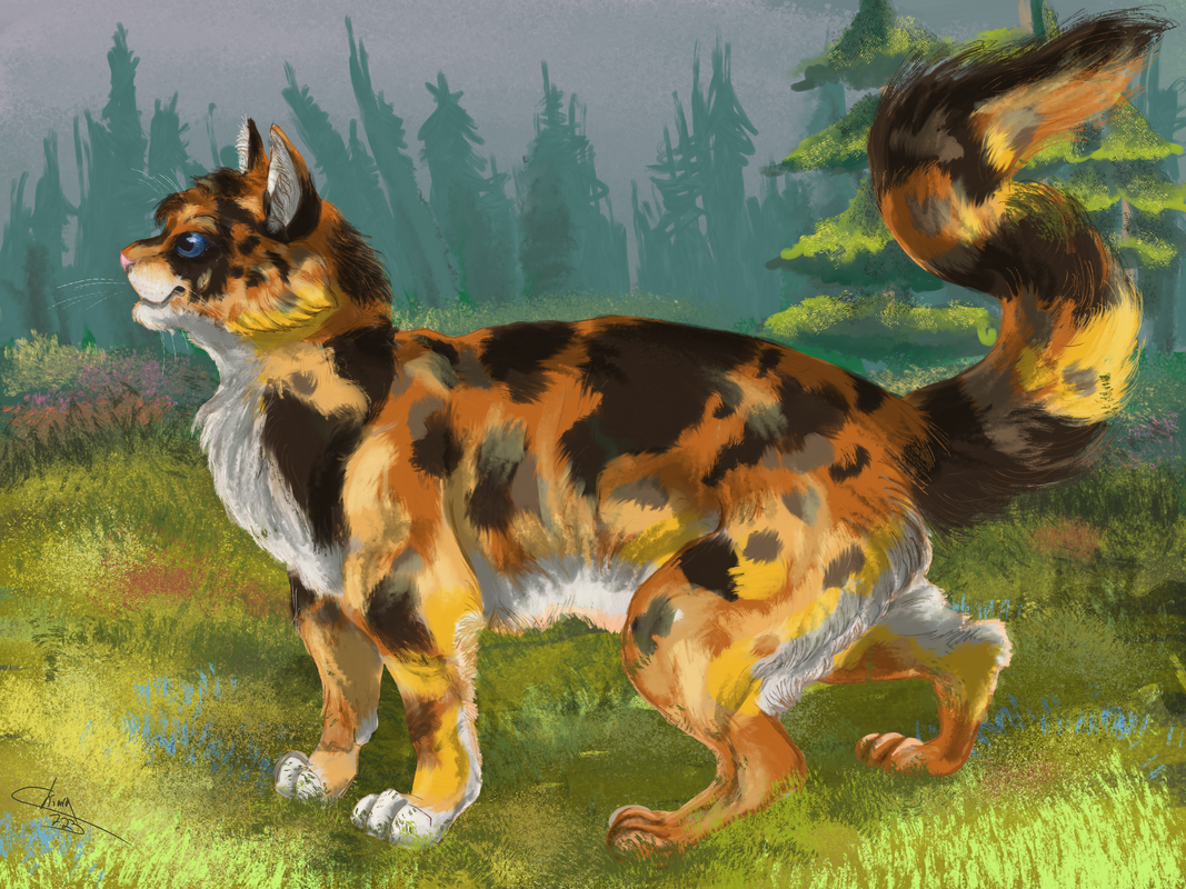 1D676BF7-2755-4550-AD5A-AB8005209A35