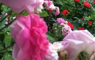 64EB6396-BE9D-4E07-A01C-119EB21BE8F5