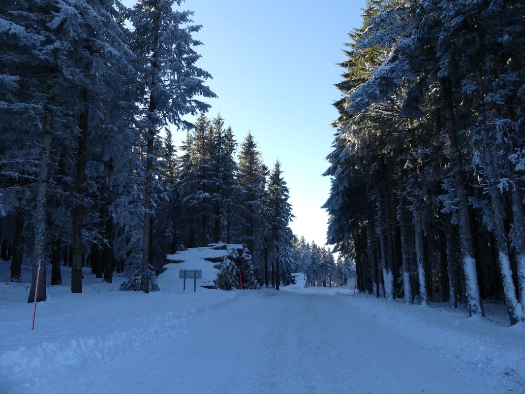 P1100061.jpg