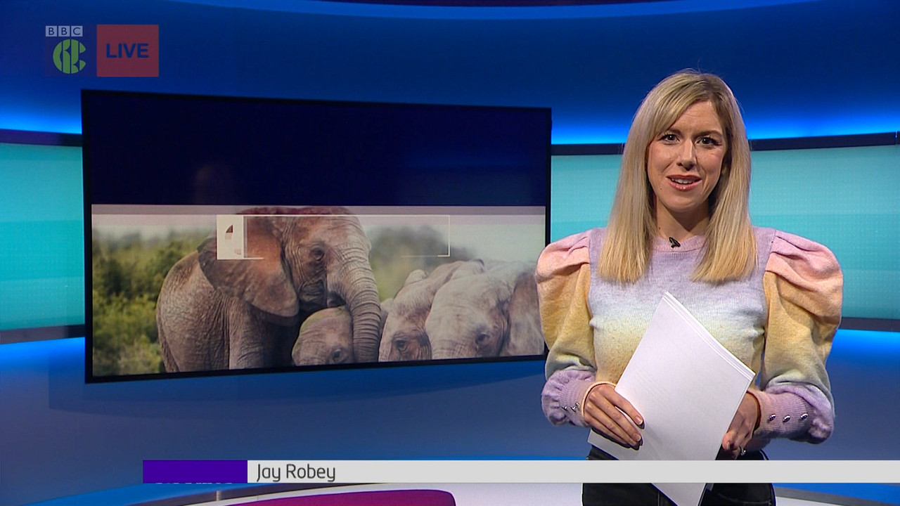 Newsround_20211023_07450755.ts_snapshot_10.36.236