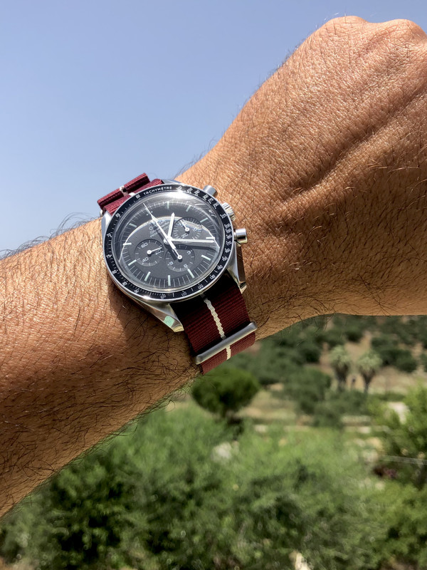 CCF405D5-B85D-4300-B5D4-F7B5408FC33A