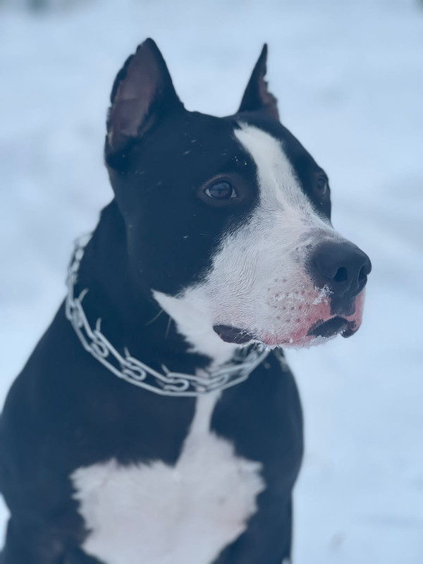 030DFEB5-6923-41BF-87BB-9B4EA53DED5D