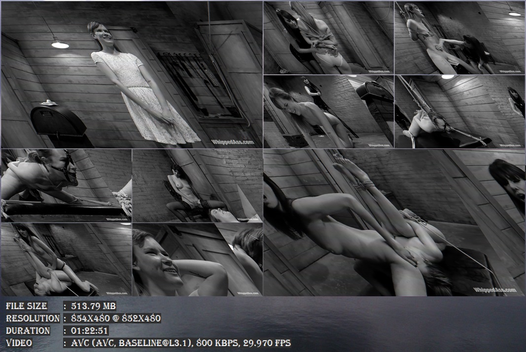 https://i.postimg.cc/4NKj2kdz/3463-Dirty-Confessions-Live-Lesbian-BDSM-mp4.jpg