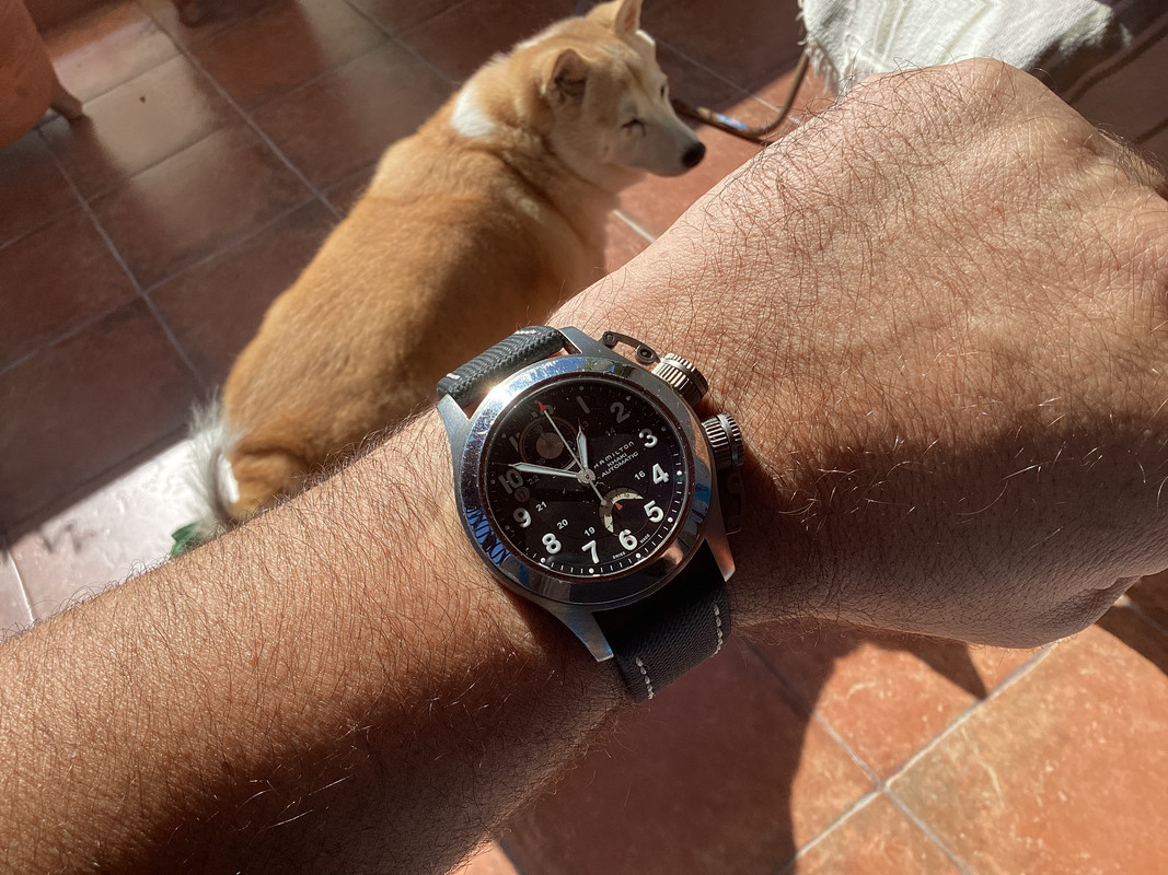 1E5F4DC6-174D-467A-BBFE-8BBD95B18EE1