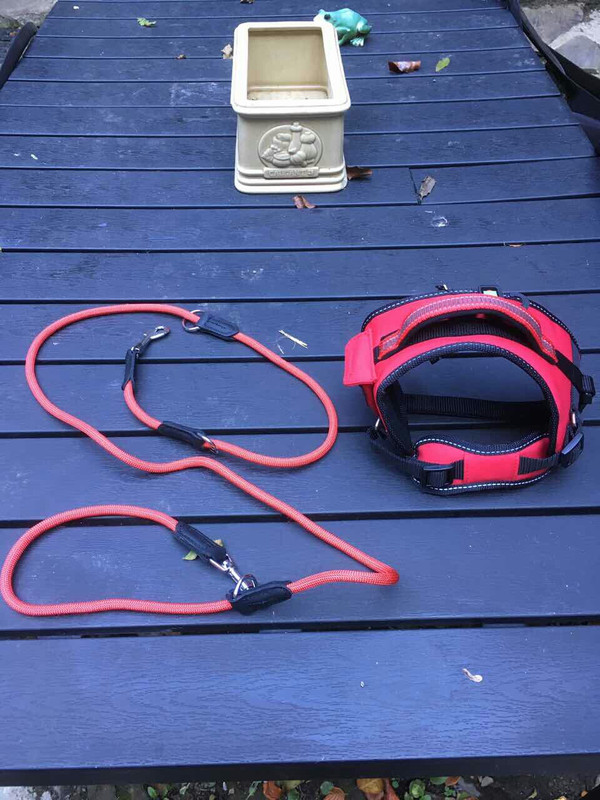 AA5354D4-1721-45F0-B91D-0AD3F746DFE6