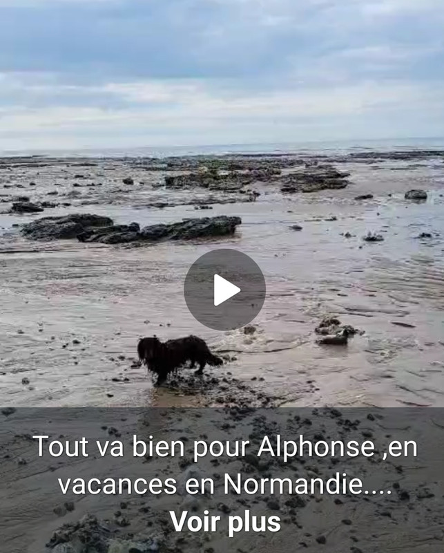 [Image: Screenshot-20250415-222904-Whats-App.jpg]