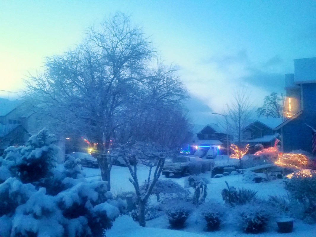 [Image: 20211226-072645.jpg]