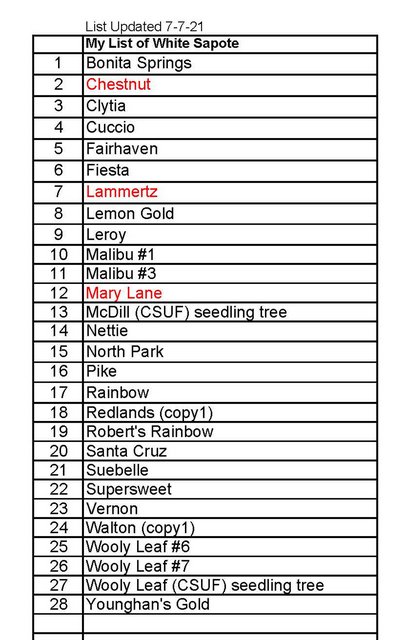 My-White Sapote List (7-7-21)