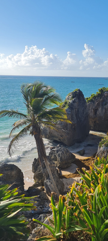 Ruinas de Tulum, Cobá, el Gran Cenote y snorkel con tortugas en playa Paraíso - Riviera Maya en Navidad (5)