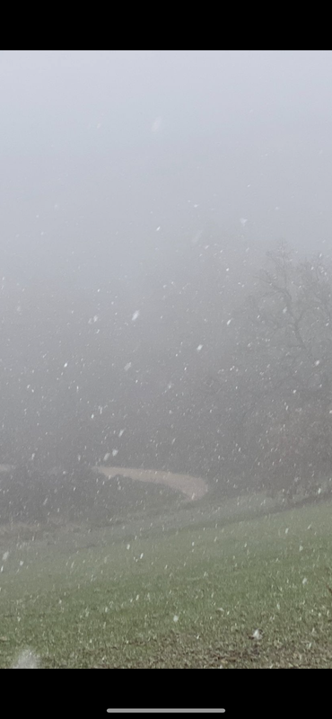 C3E30E4A-D0B9-4627-9B9D-C95EBCD5DAD0