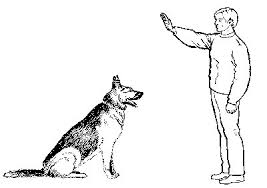 images?q=tbn:ANd9GcSyF8qD28k2MFb-9fx4WAxUg4gAJ9z