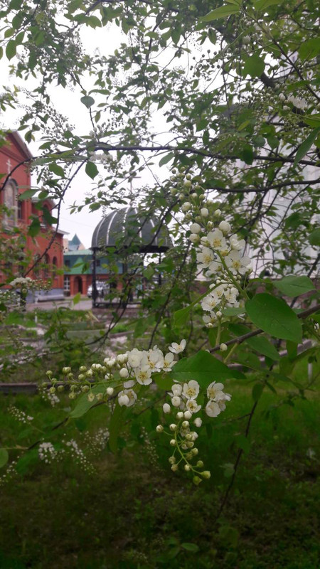 IMG-d385aa7df8669d043304e6699c528737-V