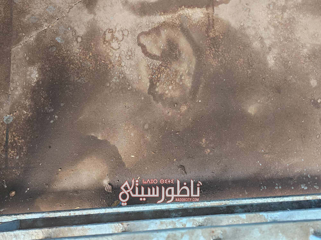 575081888-1182884883768166-2750291473554131968-n