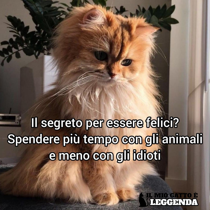 07F53E4B-F897-4896-B276-C9C936EF3020