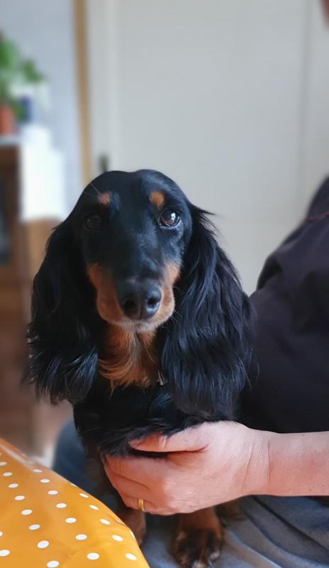 [Image: 20230429-095856.jpg]