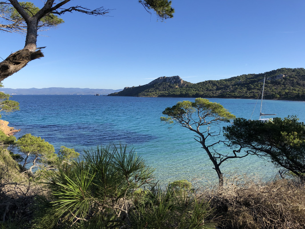 101FC3B9-1141-4F4E-AE0A-6C480ADB4ECF