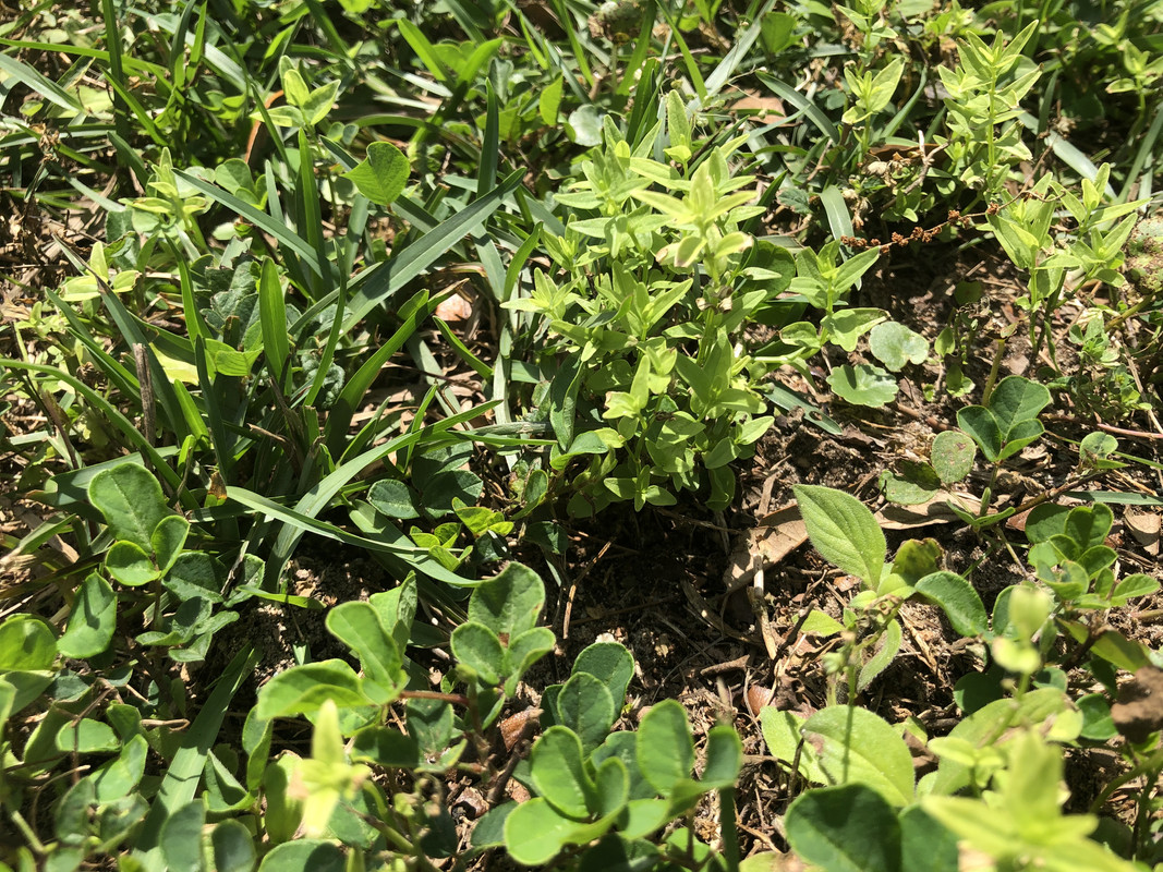 2E8594A8-7805-43A5-8C73-4D20FA2008A5