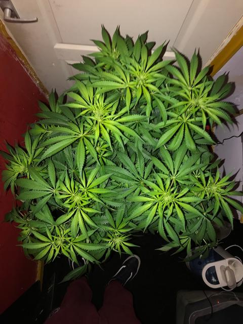 B6998E98-0AD4-45FC-B45E-5573A6A347C7