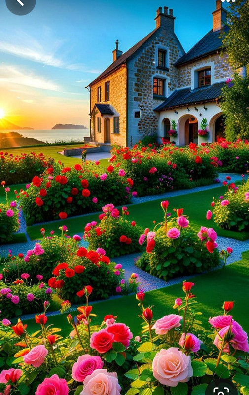 Screenshot_20230907_193442_Pinterest